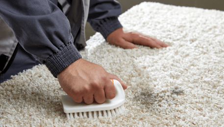 Professional Rug Cleaning Hillside